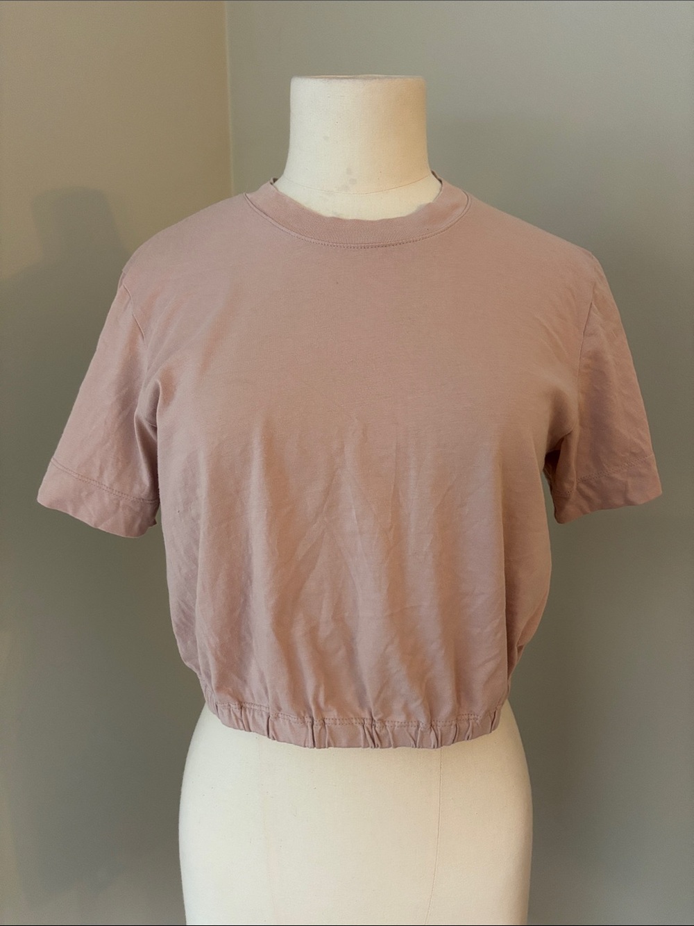 Wilfred Dusty Pink Cropped Crewneck Elastic Hem Tee S